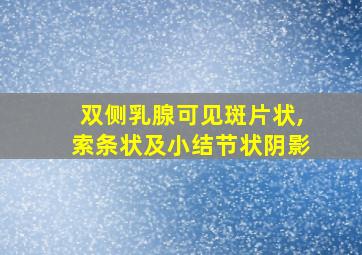 双侧乳腺可见斑片状,索条状及小结节状阴影