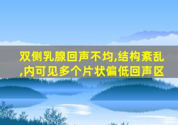 双侧乳腺回声不均,结构紊乱,内可见多个片状偏低回声区