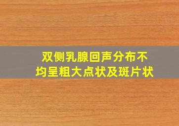 双侧乳腺回声分布不均呈粗大点状及斑片状