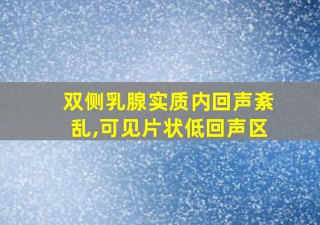 双侧乳腺实质内回声紊乱,可见片状低回声区