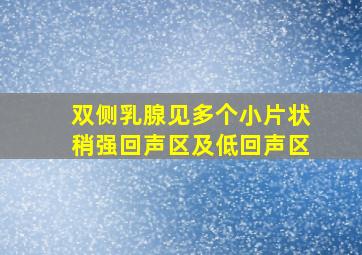 双侧乳腺见多个小片状稍强回声区及低回声区