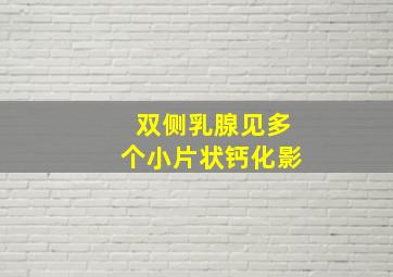 双侧乳腺见多个小片状钙化影