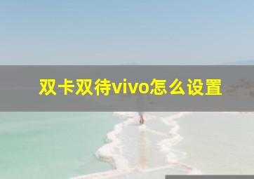 双卡双待vivo怎么设置