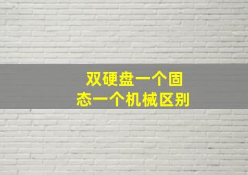 双硬盘一个固态一个机械区别