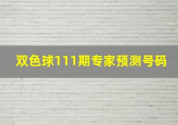 双色球111期专家预测号码