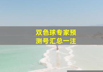 双色球专家预测号汇总一注