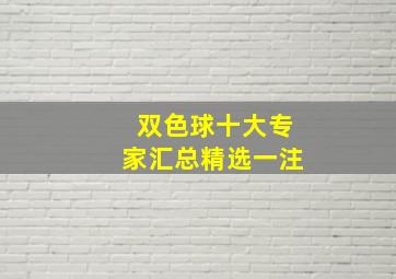 双色球十大专家汇总精选一注