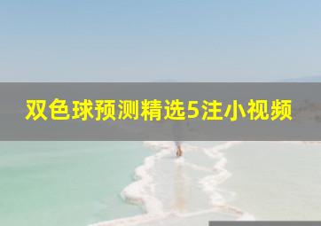 双色球预测精选5注小视频