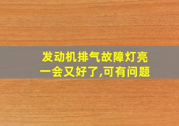 发动机排气故障灯亮一会又好了,可有问题