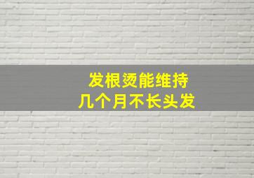 发根烫能维持几个月不长头发