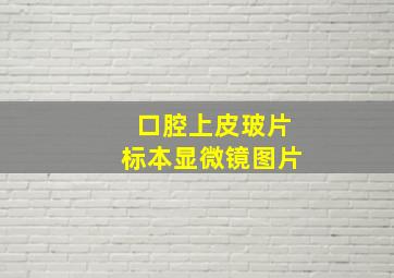 口腔上皮玻片标本显微镜图片