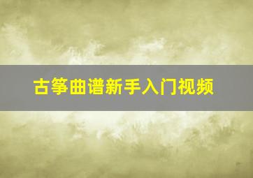 古筝曲谱新手入门视频