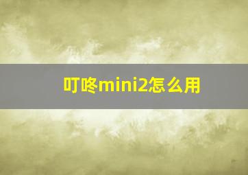 叮咚mini2怎么用