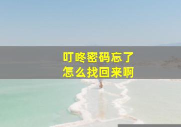 叮咚密码忘了怎么找回来啊