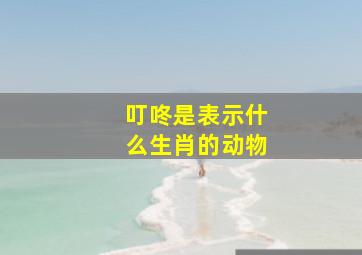 叮咚是表示什么生肖的动物