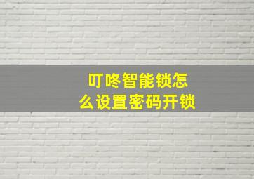 叮咚智能锁怎么设置密码开锁