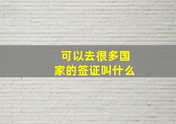 可以去很多国家的签证叫什么