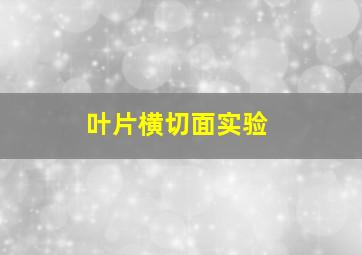 叶片横切面实验