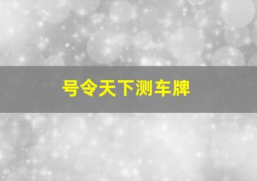 号令天下测车牌