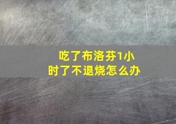 吃了布洛芬1小时了不退烧怎么办