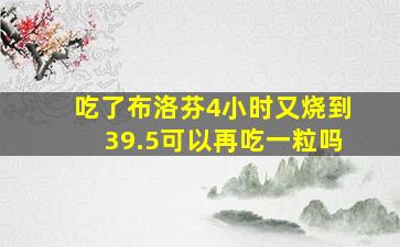 吃了布洛芬4小时又烧到39.5可以再吃一粒吗