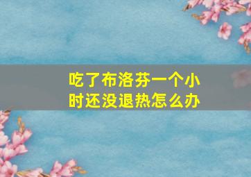 吃了布洛芬一个小时还没退热怎么办