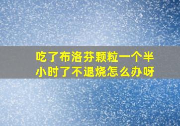 吃了布洛芬颗粒一个半小时了不退烧怎么办呀