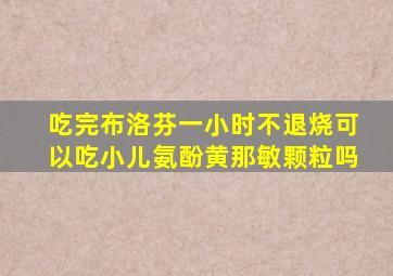 吃完布洛芬一小时不退烧可以吃小儿氨酚黄那敏颗粒吗