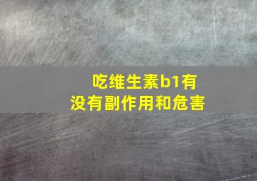 吃维生素b1有没有副作用和危害