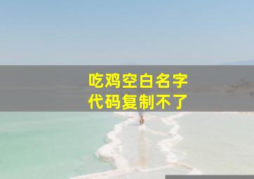 吃鸡空白名字代码复制不了