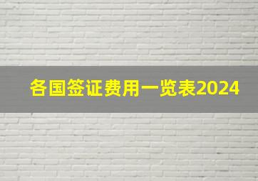 各国签证费用一览表2024