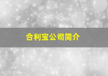 合利宝公司简介