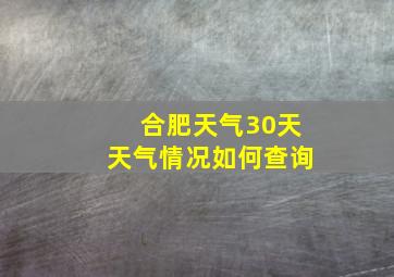 合肥天气30天天气情况如何查询