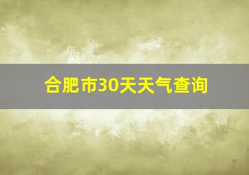 合肥市30天天气查询