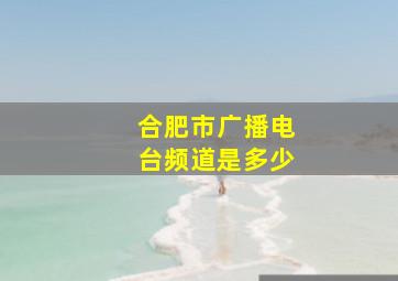 合肥市广播电台频道是多少