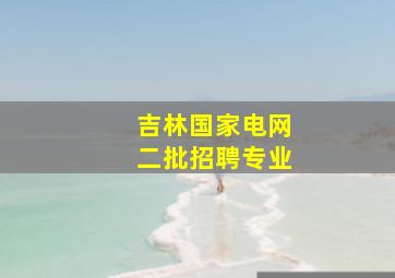 吉林国家电网二批招聘专业