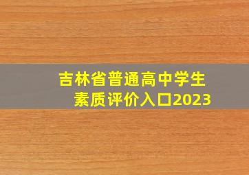 吉林省普通高中学生素质评价入口2023