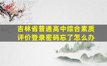 吉林省普通高中综合素质评价登录密码忘了怎么办