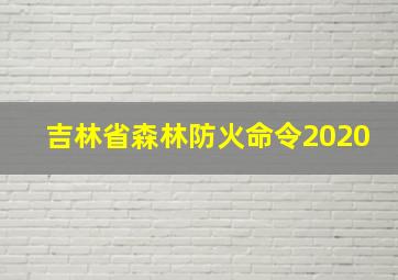 吉林省森林防火命令2020