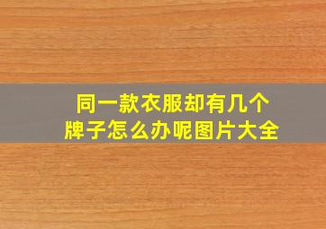 同一款衣服却有几个牌子怎么办呢图片大全