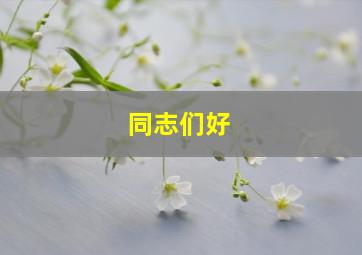 同志们好