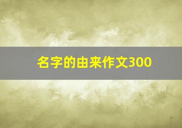 名字的由来作文300