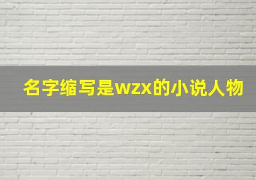 名字缩写是wzx的小说人物