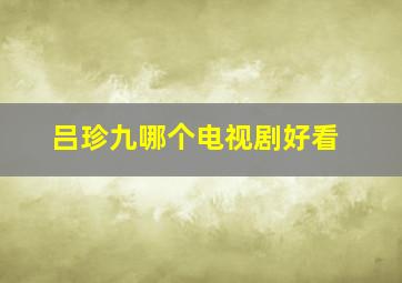 吕珍九哪个电视剧好看