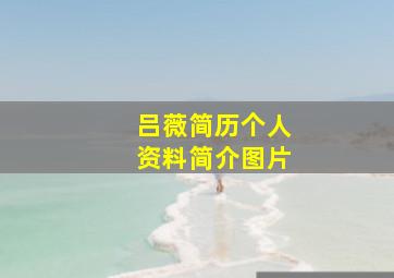 吕薇简历个人资料简介图片