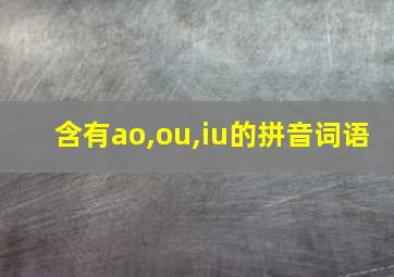 含有ao,ou,iu的拼音词语