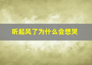 听起风了为什么会想哭