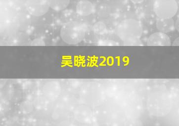 吴晓波2019