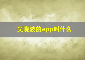 吴晓波的app叫什么