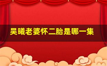 吴曦老婆怀二胎是哪一集